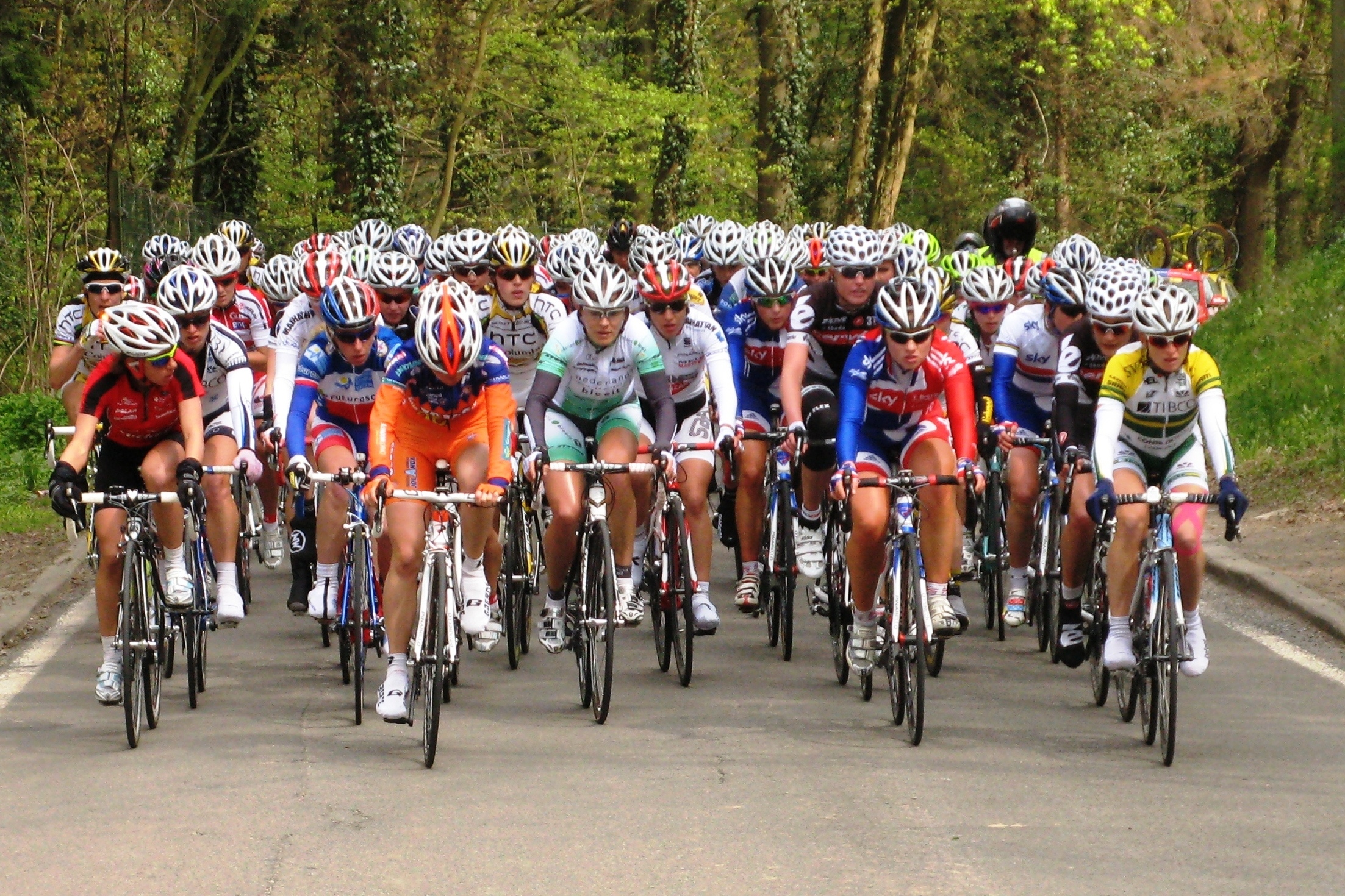 The peloton on the road at Ben-Ahin during La Flèche Wallonne 2010.