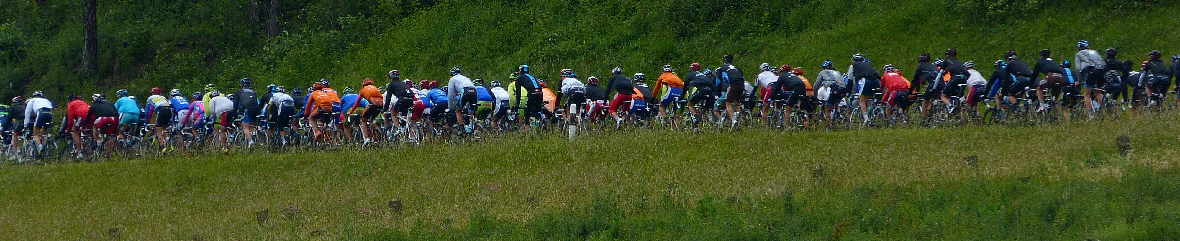 Tour de Suisse 2026: The Tour de Suisse peloton riding through green Swiss countryside near Staffelegg in 2012.